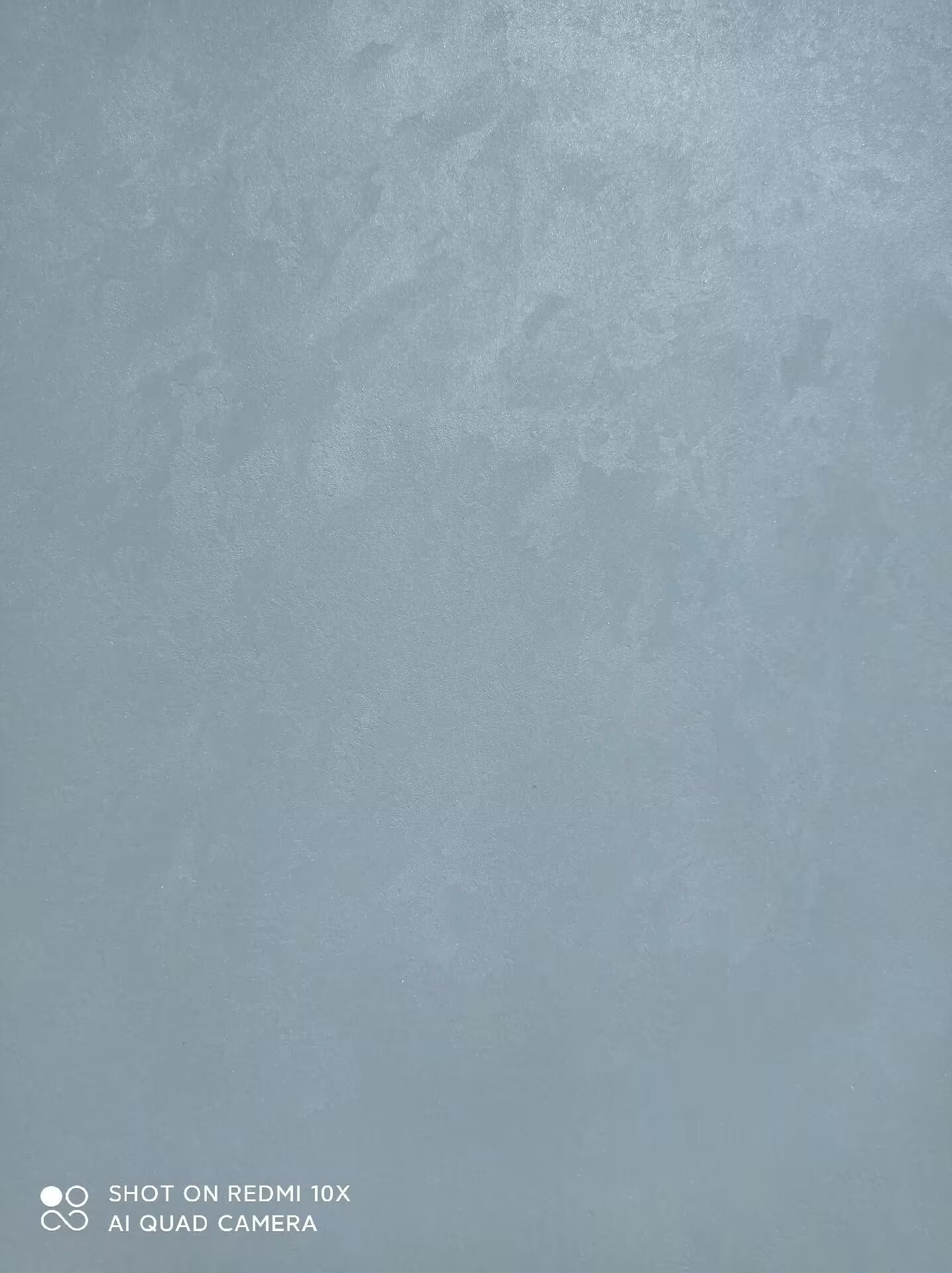 天鹅绒5.jpg