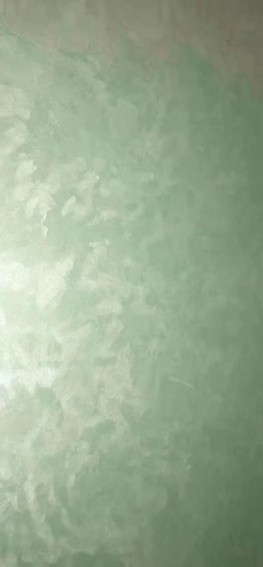 天鹅绒4.jpg
